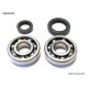Підшипники колінвала з сальниками BEARING WORX для Honda CR 125 79-07 (NTN) (MADE IN JAPAN) (24-1003)=CBK30010