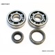 Підшипники колінвала BEARING WORX для Suzuki RM 80/85 89-23, (NTN) (MADE IN JAPAN) (24-1014)