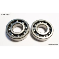 Підшипники колінвала BEARING WORX для Suzuki LTR 450 '06-'12 (NTN) (MADE IN JAPAN) (24-1116) (K051)