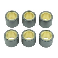 ATHENA РОЛИКИ ВАРІАТОРА 6 ШТ. 20X17 MM 11,5 ГР. YAMAHA X-MAX / X-CITY / MAJESTY 125, APRILIA ATLANTIC / LEONARDO 125, KYMCO MOVIE / DINK 125, PIAGGIO LIBERTY / SKIPPER / HEXAGON / X9 125, SUZUKI BURGMAN 125, HONDA DYLAN / NES / SH 125 / 150