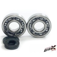 Підшипники колінвала з сальниками BEARING WORX для Honda CRF 230F '03-'17, CRF 150F '03-'05, CTX 200 '02-'11 (NTN) (MADE IN JAPAN) (24-1056)