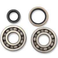 HOT RODS ПІДШИПНИКИ КОЛІНВАЛА З САЛЬНИКАМИ SUZUKI RMX 250 '95-'98 (RMX250) (K232)