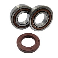 Підшипники колінвала BEARING WORX KTM SX/EXC 400/450/520/525 (NTN) (MADE IN JAPAN) (24-1106)