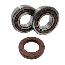 Підшипники колінвала BEARING WORX KTM SX/EXC 400/450/520/525 (NTN) (MADE IN JAPAN) (24-1106)