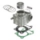 Комплектний циліндр RMS для HONDA FES 125 S-WINGS '07-'12; FES 125 PANTHEON '03-'06; NES 125 '00-'10; SES 125 DYLAN '02-'06; SH 125 '01-'12 (GOETZE)