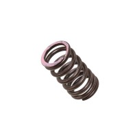 Пружина випускного клапана Honda CRF 250R '18-20, CRF 250X '18-20