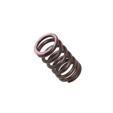 Пружина випускного клапана Honda CRF 250R '18-20, CRF 250X '18-20