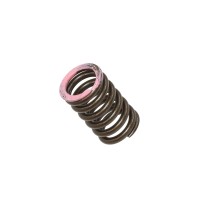 PSYCHIC ПРУЖИНА ВПУСКНОГО КЛАПАНА YAMAHA YZF 250 (YZ 250F) '19-20, WRF 250 (WR 250F) '20