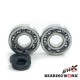 Підшипники колінвала з сальниками BEARING WORX KAWASAKI KX 250 87-01 (NTN) (MADE IN JAPAN) (24-1010)