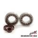 Підшипники колінвала з сальниками BEARING WORX KTM SX/EXC 400/450/520/525 (NTN) (MADE IN JAPAN) (24-1106)