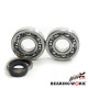 Підшипники колінвала з сальниками Suzuki RM 250 96-02 (NTN) (Made in Japan) (24-1021) BEARING WORX