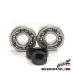 Підшипники колінвала з сальниками BEARING WORX Yamaha YZ 250 '01-'25 (NTN) (MADE IN JAPAN) (24-1029)