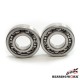 Підшипники колінвала BEARING WORX Yamaha YFM 700 Grizzly '07-'24 (NTN) (MADE IN JAPAN) (24-1096)