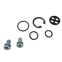 BEARING WORX ремонтний комплект краника Kawasaki EL 250 '88-'94, VN 1500A '87-'99, VN 1500B '87-'90, VN 1500C '96-'97, VN 1500D Classic '96, (60-1096)