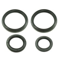 BRONCO Сальники переднього диференціала Arctic Cat 300/366/400/500, заднього Arctic Cat 366/400/450/500/550/650/700, Prowler 550/650/700/1000, Kymco Maxxer 450, MXU 450 (25-2050-5)