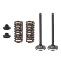 PSYCHIC Випускні клапани (комплект з пружинами і шайбами) Honda CRF 250R '16-17 сталеві (14721-KRN-B10)