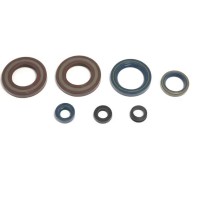 CENTAURO КОМПЛЕКТ (НАБІР) ДВИГУНОВИХ УЩІЛЬНЮВАЧІВ KTM LC4 350/400/500/600/620/ '87-'94 (УСІ МОДЕЛІ LC4)