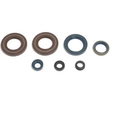 CENTAURO КОМПЛЕКТ (НАБІР) ДВИГУНОВИХ УЩІЛЬНЮВАЧІВ KTM LC4 350/400/500/600/620/ '87-'94 (УСІ МОДЕЛІ LC4)