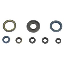 CENTAURO КОМПЛЕКТ (НАБІР) ДВИГУНОВИХ САЛЬНИКІВ KTM GS 250 '87-'89, MX 250 '85-'86