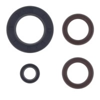 CENTAURO КОМПЛЕКТ (НАБІР) ДВИГУНОВИХ УЩІЛЬНЮВАЧІВ KTM GS 250 '80-'81, MX 250 '80-'81