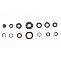 ATHENA КОМПЛЕКТ УЩІЛЬНЮВАЧІВ ДВИГУНА DUCATI MONSTER 400 / 600 / 750 / 900 '93-'00, SUPER SPORT 750 / 900, DUCATI 944 ST2 '97-'98