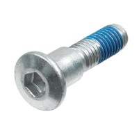 Гвинти кріплення гальмівного диска TRW ZF передні / задні для Suzuki GSX 600 / 650 / 750 / 1200 / 1400, GSX-R 400 / 600 / 750, SV 650 / 1000, TL 1000 S / R, VZ 800 Marauder, GSF 400 / 600 / 650 / 1200 Bandit (M8 x 1,25 довж. 37,8 мм) (комплект 5 шт.)