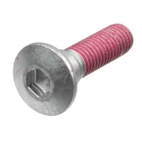 TRW ZF Болти переднього гальмівного диска KAWASAKI GPZ 900 R '84-'94, GPZ 1100 HORIZONT '96-'98, GTR 1000 '86-'95, GTR 1400 '07-'14, KLE 650 VERSYS '07-'14, Z 750 / 1000 '07-'16 (M8 X 1,25 ДОВЖ. 33,2MM) (КОМПЛ. 5 ШТ.)