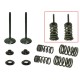PSYCHIC Випускні клапани (комплект клапанів з пружинами і шайбами) Honda CRF 450 X '05-'17 сталевий (MX-09503E)