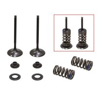 PSYCHIC ВПУСКНІ КЛАПАНИ (КОМПЛЕКТ КЛАПАНІВ З ПРУЖИНАМИ ТА ШАЙБАМИ) KAWASAKI KXF 250 '04-'06, SUZUKI RMZ 250 '04-'06 СТАЛЕВИЙ (MX-09509I) (31X4,48X79MM)