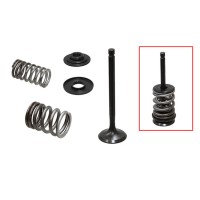 PSYCHIC Випускні клапани (комплект клапанів з пружинами і шайбами) Yamaha TW 200 '87-'16, TT-R 225 / 230 '00-'16 сталеві (MX-09518E;XU-09518E-2) (28.5X6X92.5MM)