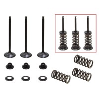 PSYCHIC ВПУСКНІ КЛАПАНИ (КОМПЛЕКТ КЛАПАНІВ ЗІ ПРУЖИНАМИ ТА ШАЙБАМИ) YAMAHA YZF 250 '01-'13, GAS GAS EC 250F '10-15, 300F '13-15 СТАЛЕВІ (XU-09519I, XU-09522I) (23X3,99X78,6MM) (23X3,98X80,1MM)