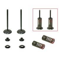 PSYCHIC ВПУСКНІ КЛАПАНИ (КОМПЛЕКТ КЛАПАНІВ З ПРУЖИНАМИ І ШАЙБАМИ) HONDA CRF 250 R '10-'15 СТАЛЕВИЙ (MX-09523I) (21,5X13,5X5,5MM)