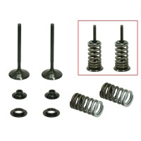 PSYCHIC Випускні клапани (комплект 2 шт. клапанів з пружинами і шайбами) Honda CRF 450 R '09-'12 сталеві (30x4,95x80,6мм) (MX-09533E)