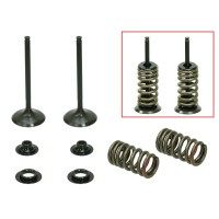 PSYCHIC Випускні клапани (комплект клапанів із пружинами та шайбами) Honda CRF 450R '02-'06 сталевий (MX-09534E) (31X4,97X84,3MM)