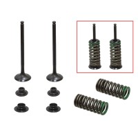 PSYCHIC Випускні клапани (комплект клапанів з пружинами і шайбами) Honda CRF 150 R / RB '07-'23 сталевий (MX-09545E) (22,5x4,4x79,95мм)