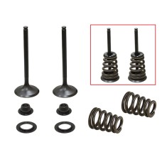 PSYCHIC ВПУСКНІ КЛАПАНИ (КОМПЛЕКТ КЛАПАНІВ З ПРУЖИНАМИ І ШАЙБАМИ) HUSABERG FE 450 / 550 / 650, FS 650 '04-'08, KTM SXS 450 / 540 RACING '03-'04, EXC 450, SX 520 /525 '00-'07 (MX-09549I)