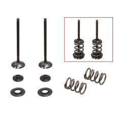 PSYCHIC Випускні клапани (комплект клапанів з пружинами і шайбами) HUSABERG FE 250 '13, KTM EXCF 250 '08-'14 (MX-09551E)