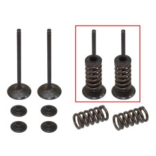 PSYCHIC ВПУСКНІ КЛАПАНИ (КОМПЛЕКТ КЛАПАНІВ ЗІ ПРУЖИНАМИ ТА ШАЙБАМИ) HUSABERG FE 250 '13, KTM EXCF 250 '08-'14 (MX-09551I)