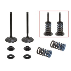 PSYCHIC впускні клапани (комплект 2 шт. клапанів з пружинами і шайбами) HUSQVARNA FC 350 '14-'22, KTM SX-F / XC-F 350 '13-'19 (MX-09556I)