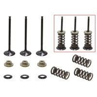 PSYCHIC ВПУСКНІ КЛАПАНИ (КОМПЛЕКТ КЛАПАНІВ З ПРУЖИНАМИ ТА ШАЙБАМИ) YAMAHA WR 250 F (WRF 250) '01-'13 СТАЛЕВІ (XU-09519I,XU-09522I) (23X3,99X78,6MM) (23x3,98x80,1MM)