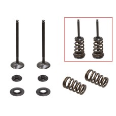 PSYCHIC Випускні клапани (комплект клапанів з пружинами і шайбами) KTM SX-F / EXC-F 250 '05-'07