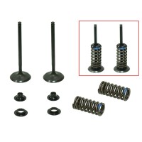 PSYCHIC КОМПЛЕКТ ВПУСКНИХ КЛАПАНІВ (КЛАПАНИ, ПРУЖИНИ, ШАЙБИ) HONDA CRF 250 R '16-'17