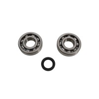 ALL BALLS ПІДШИПНИКИ КОЛІНВАЛА З САЛЬНИКАМИ POLARIS PHOENIX 200 '05-'15, SAWTOOTH 200 '06-'07