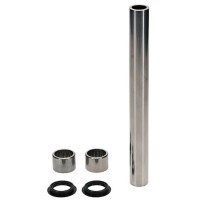 ALL BALLS Ремкомплект маятника Kawasaki VERSYS X 300 17-24, VERSYS X 300 ABS 17-24