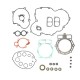Комплект прокладок з комплектом моторних сальників PROX KTM XC 450 '08-'09 (ATV)