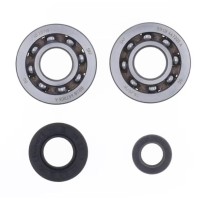 Підшипники колінвала з сальниками ATHENA PGO BIG MAX 50, G-MAX 50