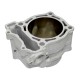 Циліндр PSYCHIC YAMAHA YZF 250 (01-13), WRF 250 (01-13), GAS GAS EC 250F (10-15) BIG BORE = 83MM (+6MM = 290CM3) - ЗАМІНЕНО НА CX-40004-BB6