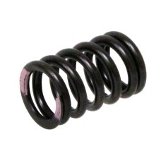 PSYCHIC пружина впускного клапана Kawasaki KXF 250 '11-'16 (MX-09539IS)