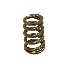 PSYCHIC пружина випускного клапана KTM SXF 250 '05-07, EXCF 250 '07 (MX-09550ES)