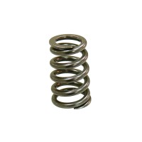 PSYCHIC пружина впускного клапана KTM SXF 250 '05-07, EXCF 250 '07 (MX-09550IS)
